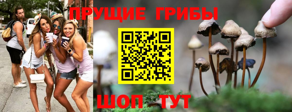 Псилоцибиновые грибы мухоморы Заводоуковск