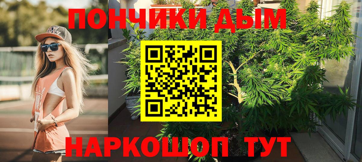 Бошки марихуана план Заводоуковск
